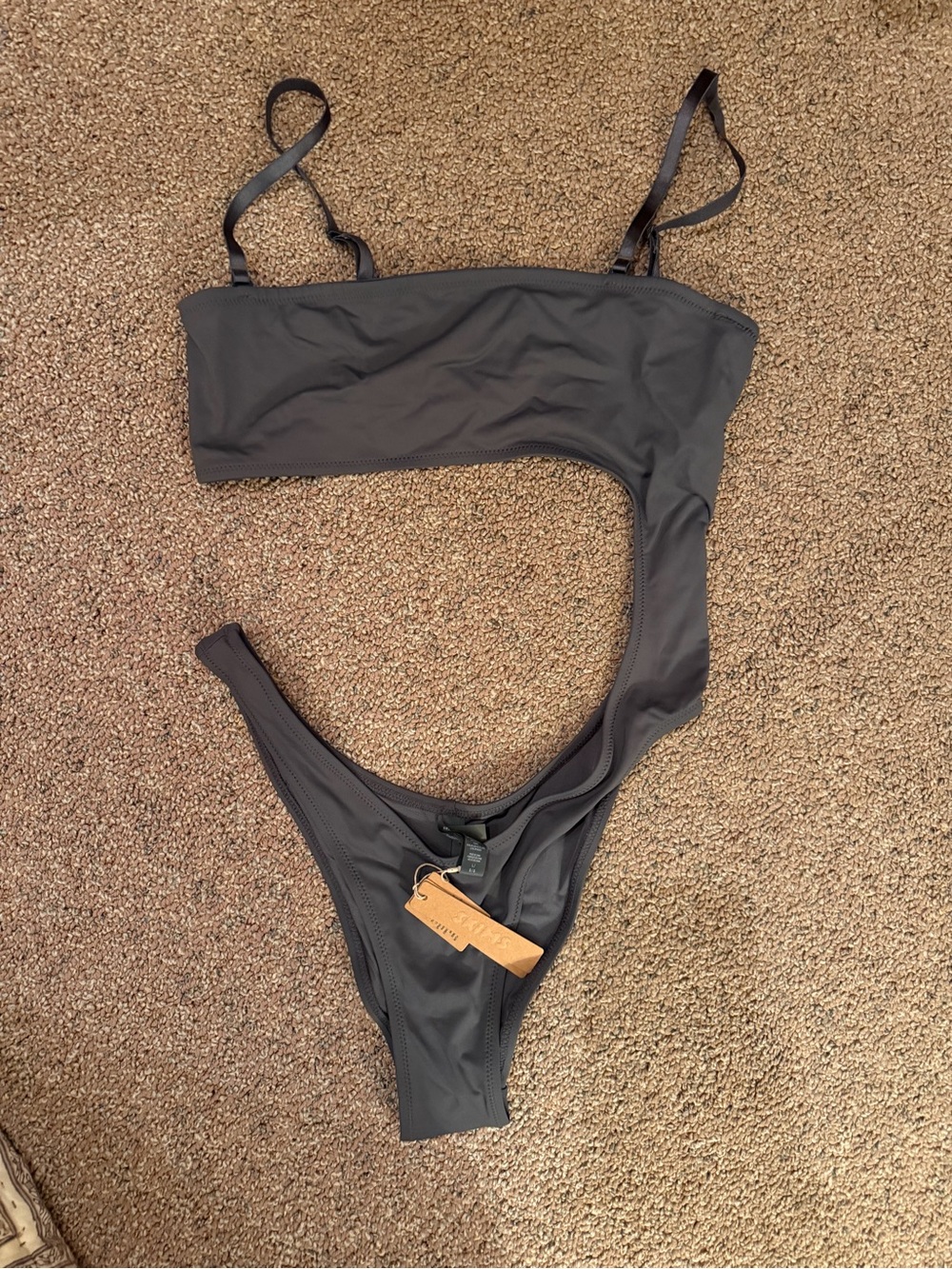 SKIMS Charcoal Gray Bikini Bottom